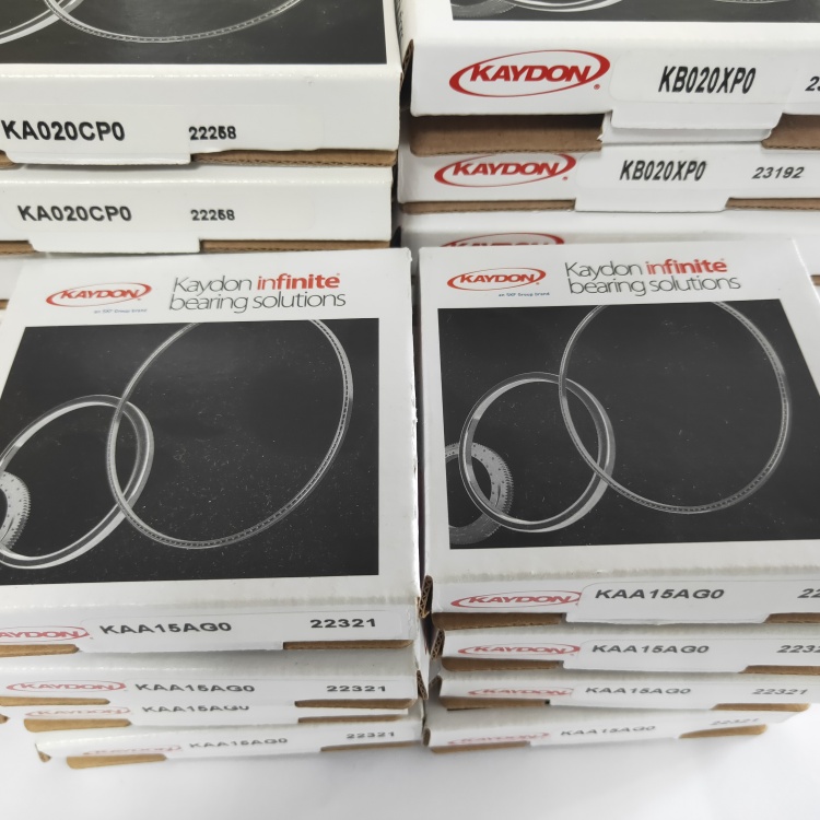 B63261 美國KAYDON軸承 B63351 B75832 美國Riverhawk十字扭簧軸承